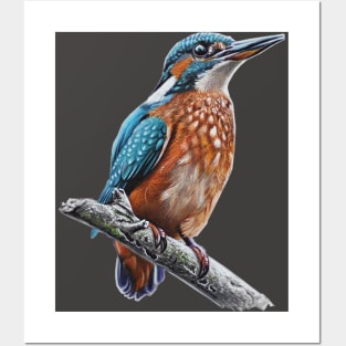 King Fisher Drawing Posters and Art